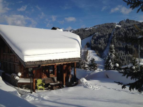 Chalet Camomille Les Gets